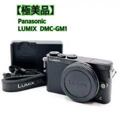 2026年最新】gm1 panasonicの人気アイテム - メルカリ
