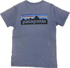 パタゴニア patagonia Tシャツ ワンポイントフロントロゴ
