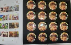 龍之介 アイナナ ベビコミュ 缶バッジ アイバム 収納box付