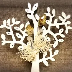 ドライフラワー　イヤリング