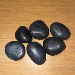 쿠로이시 1kg 5-10cm