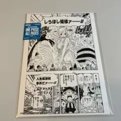 ONE PIECE BASE SHOP ALL PAGES 魚人島編 しらほし - メルカリ