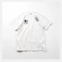 SURE L XXDEVELOPMENT