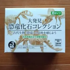 恐竜化石コレクション Bタイプ　セリア　知育　トリケラトプスのサムネイル