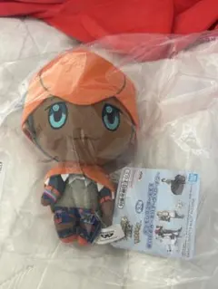 ポケモンマスターズEX キバナ ぬいぐるみ