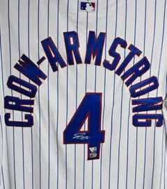 2026年最新】#PETECROWARMSTRONGの人気アイテム - メルカリ