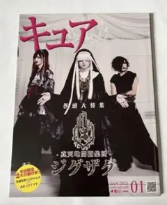 -真天地開闢集団-ジグザグ トレカ(Cure 2021年1月付録)まとめ売り 91Owv-mWurL._UF350,350_QL50_.jpg