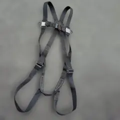 Item thumbnail for item 98f6d604-b85d-4520-8712-f0bf1daa50ce