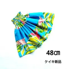 Item thumbnail for item 8f701cc9-e592-48b2-ae04-d914590e6312