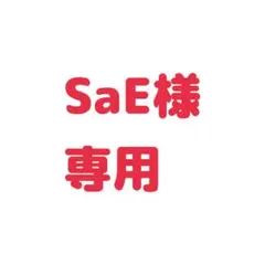 SaE様専用