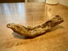 流木ルアースタンド兼エアプランツスタンド