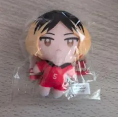 ハイキュー! かぷっこふれんず2