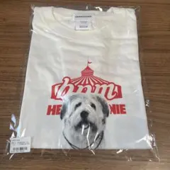 Item thumbnail for item 7f4191e1-552c-4dee-8255-af3f4455340d