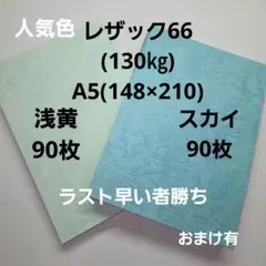 レザック66(130㎏)浅黄、スカイ、A5. 各90枚、ラスト早い者勝ち‼️