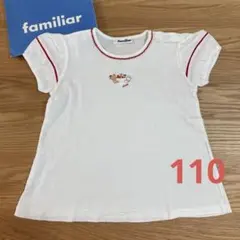 familiar 110のサムネイル