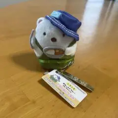 すみっこぐらし　しろくま　キャンプ