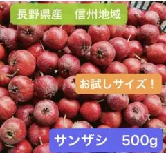 サンザシ 山査子 500g 長野県産