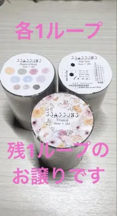 マスキングテープ ggaggongさま3種各1ループのセット 韓国作家マステ
