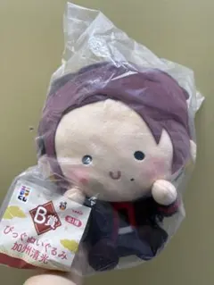刀剣乱舞 びっぐぬいぐるみ 加州清光 B賞