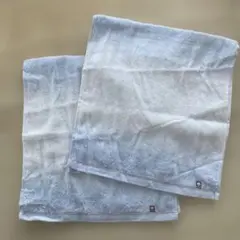 Item thumbnail for item f0a978e6-9016-4f7e-a1ea-b8aee598dec5