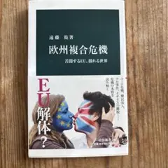 欧州複合危機 遠藤乾著 中央公論新社