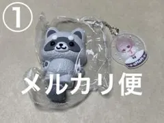 MoMo momo スクイーズ 動物 アニマル アライグマ