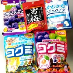 【お菓子セット】コグミ　男梅グミ　ガブリチュウ　かむかむホワイトソーダ　計5袋のサムネイル