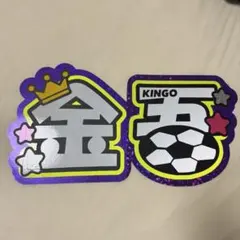 今日好き 内田金吾 連結反射ネームボード パネル