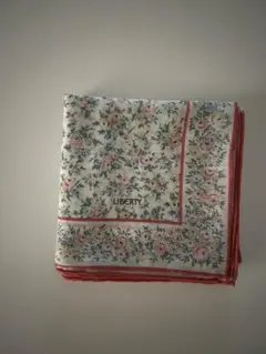 Item thumbnail for item a6ecd9aa-d218-4dd4-95af-a364cca95485