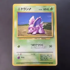 ポケモンカード旧ニドラン♂ マークなし　s