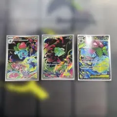 フシギダネ　フシギソウ　メガフシギバナex 進化ライン　3枚セット