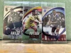 ラグビー リーグワン プラカード マロ・ツイタマ 流大 ファカタヴァアマト