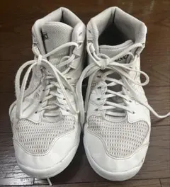 Item thumbnail for item a6b5221c-0641-4826-8e6a-05a2f315bb7e