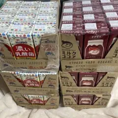 伊藤園 朝のYoo 濃い乳酸菌 チチヤス ミルクココア 合計　72本セット