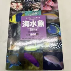 2026年最新】日本産魚類検索 全種の同定 第三版の人気アイテム - メルカリ