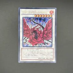 ブラックローズ　20th　美品 ブラックローズドラゴン/20thシークレット【シンクロ】《20CP