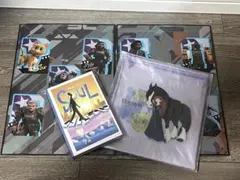 ディズニーピクサー ポストカードブックとフラットポーチセット
