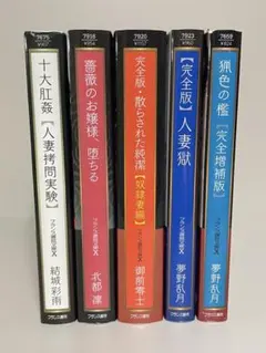 フランス書院文庫X　５冊セット　官能小説のサムネイル