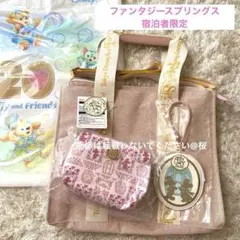 2025年最新】宿泊者限定 ファンタジースプリングスの人気アイテム