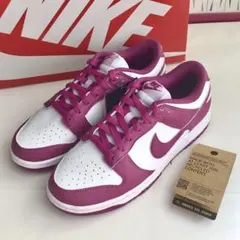 NIKE ウィメンズ ダンク LOW ネクスト ネイチャー 25cm