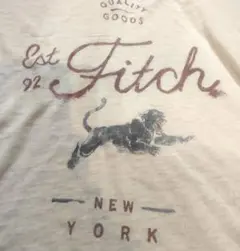 アバクロンビー＆フィッチ ☆透け感半袖Tシャツ オフホワイトM