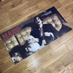 2026年最新】常田 ポスターの人気アイテム - メルカリ