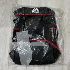 埼玉西武ライオンズ　ファンクラブ入会記念品リュック
