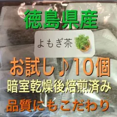 カオル 様専用　よもぎ茶　2g×10個　野草茶　健康茶　乾燥よもぎ　よもぎ
