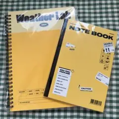 Item thumbnail for item 0c34e080-9c2d-4d38-9121-0b071e8c6e0d