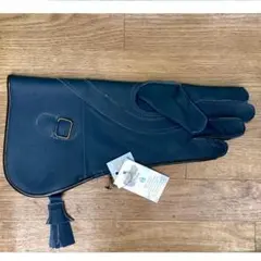 2025年最新】猛禽 グローブの人気アイテム - メルカリ