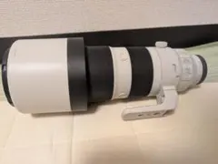 SONY FE 200-600mm F5.6-6.3 G OSSのサムネイル