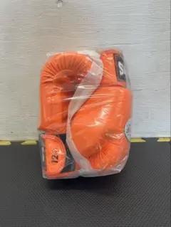 Item thumbnail for item 3ab455d2-f869-4ec5-9bb6-0bf9bde01d35