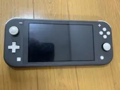 Nintendo Switch Lite グレー 充電器付き　おまけ付き