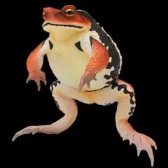 新品　大きなヒキガエル　アズマヒキガエル（赤褐色）BIG！カエル　蛙のサムネイル